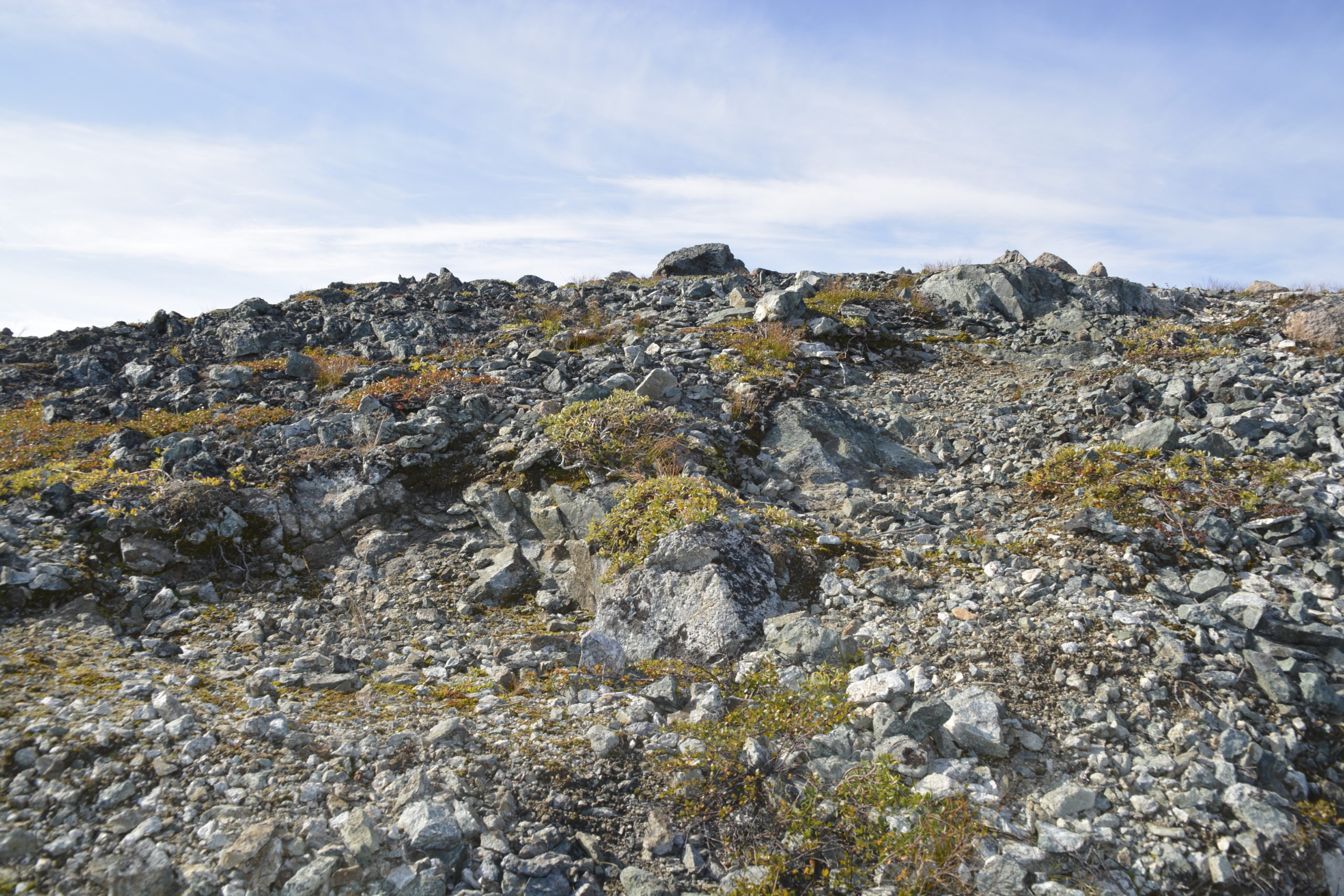 _DSC0740